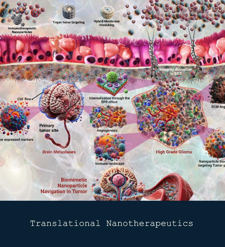 Translational Nanotherapeutics